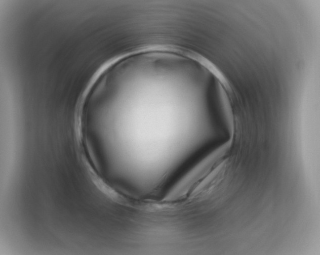 X0000113291148200909281007