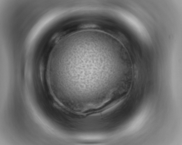 X0000113291151200909281007