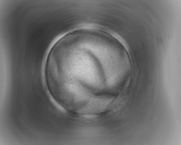 X0000113291152200909281007