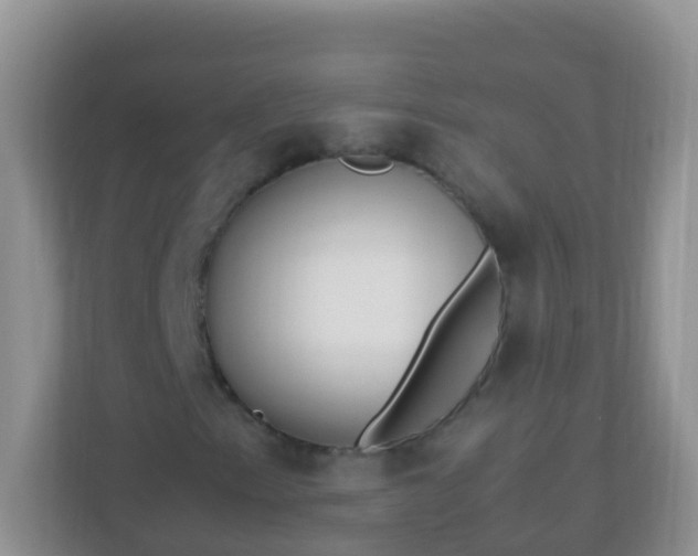 X0000113291153200909281006