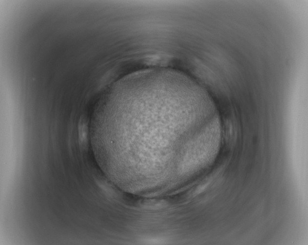 X0000113291154200909281006