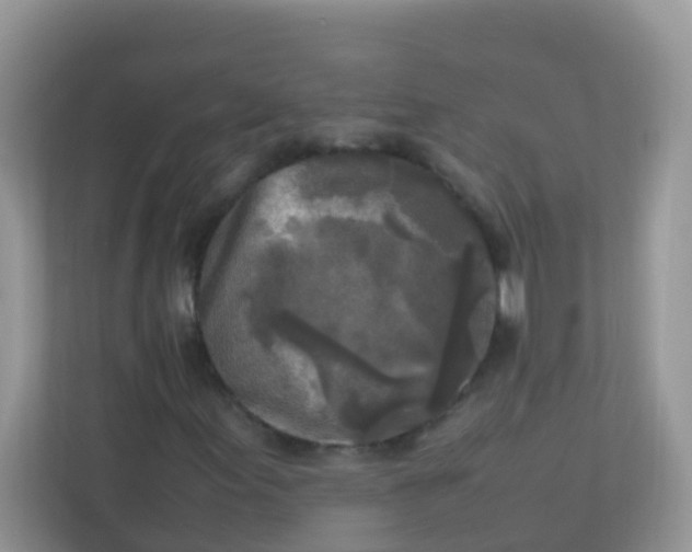 X0000113291155200909281006