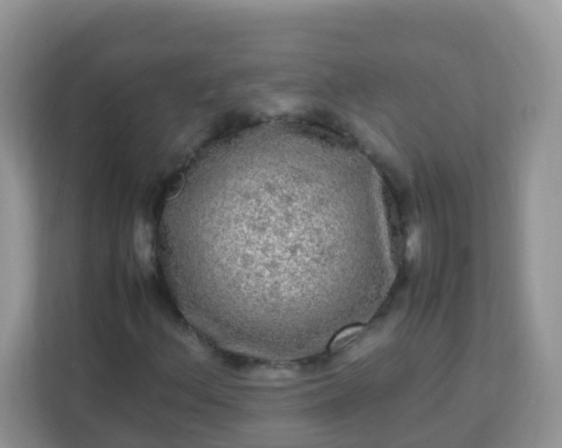 X0000113291156200909281006