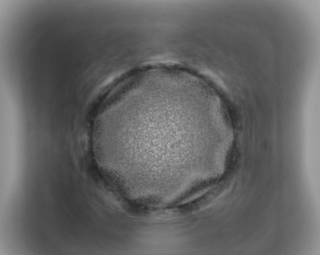 X0000113291159200909281006