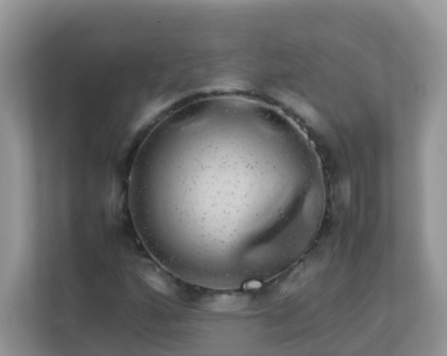 X0000113291160200909281006