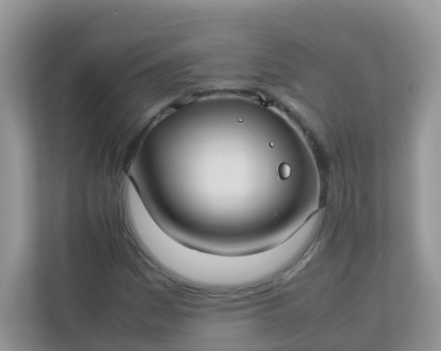 X0000113291161200909281006