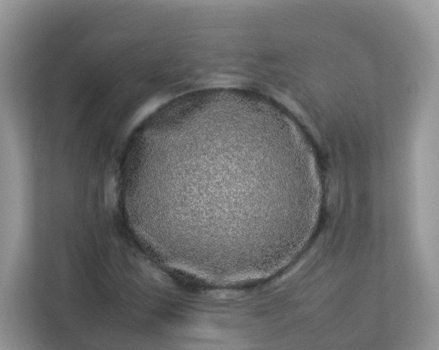 X0000113291163200909281006