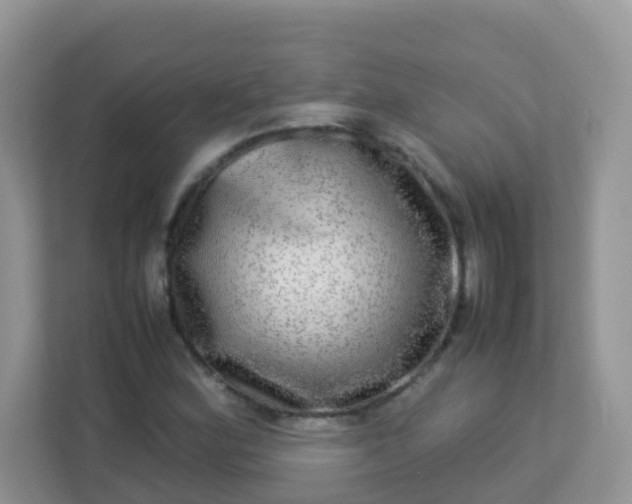 X0000113291164200909281006