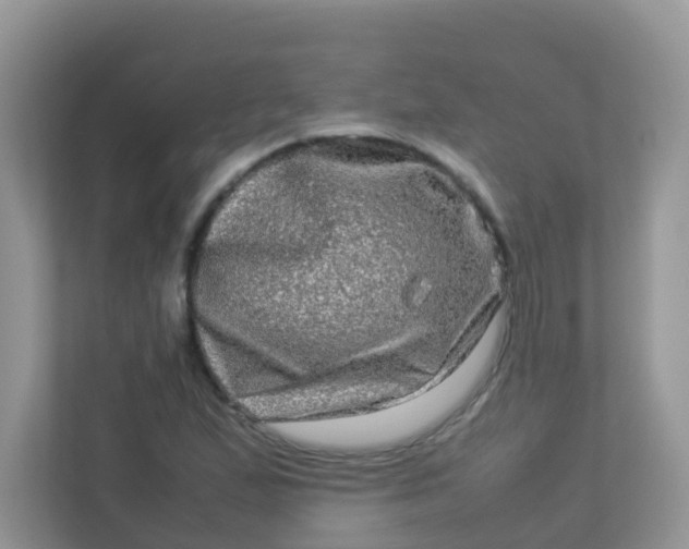 X0000113291167200909281006