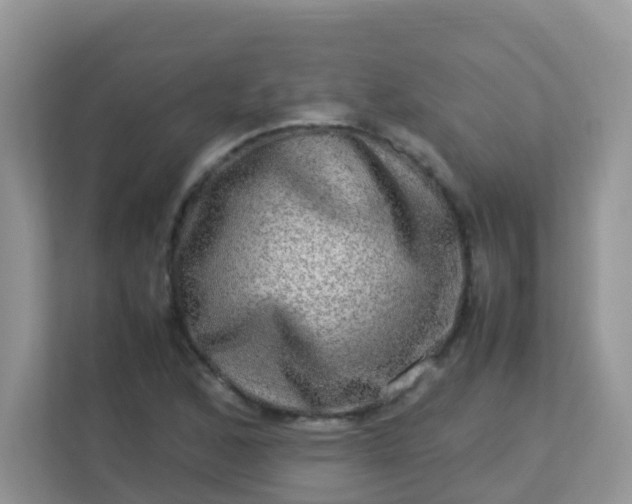 X0000113291168200909281006