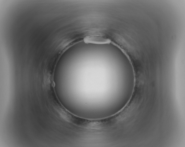 X0000113291169200909281006