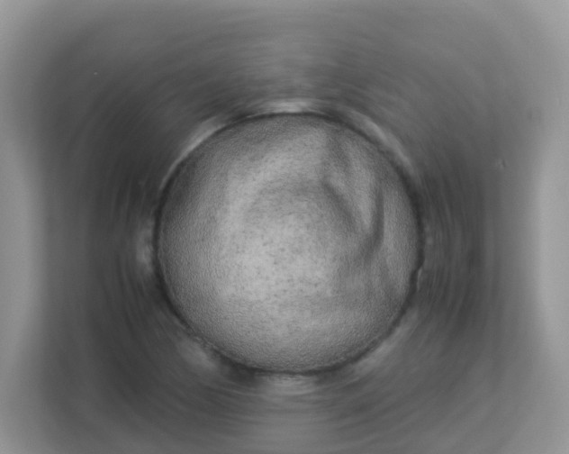 X0000113291170200909281006