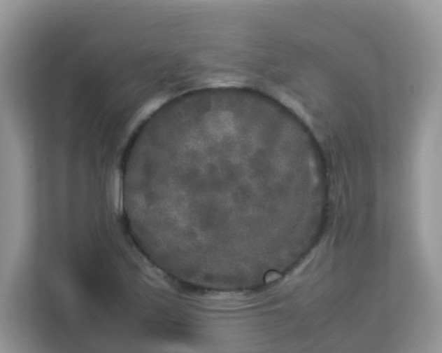 X0000113291171200909281006