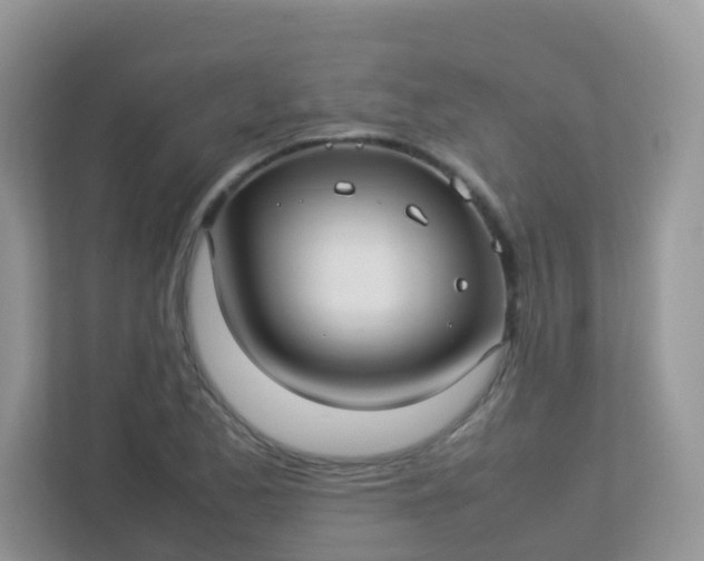 X0000113291173200909281006