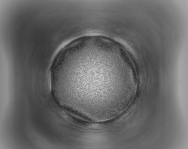 X0000113291175200909281006