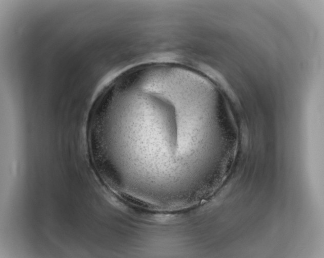 X0000113291176200909281006