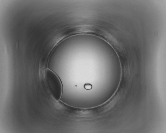 X0000113291177200909281006