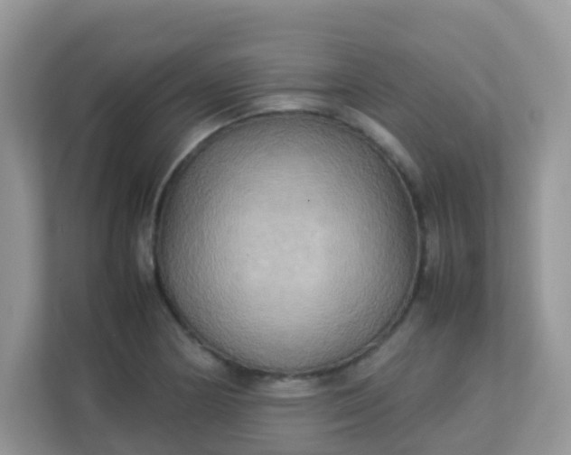 X0000113291178200909281006