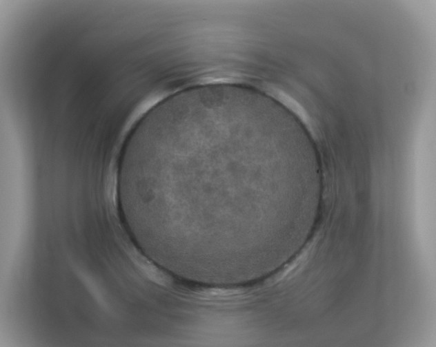 X0000113291179200909281006