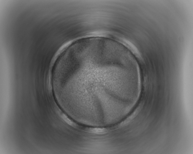 X0000113291180200909281006