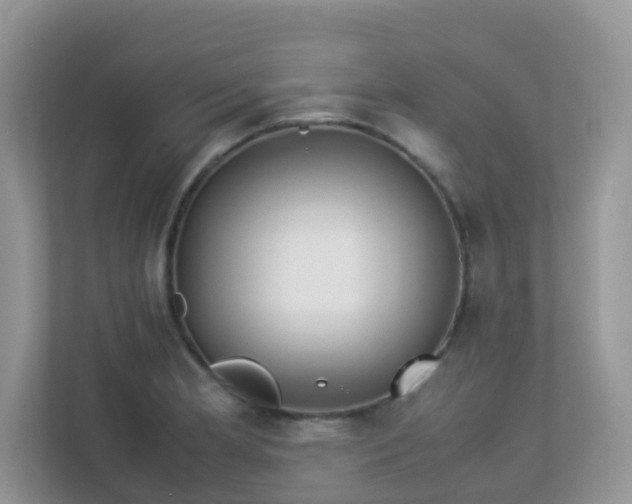 X0000113291181200909281006