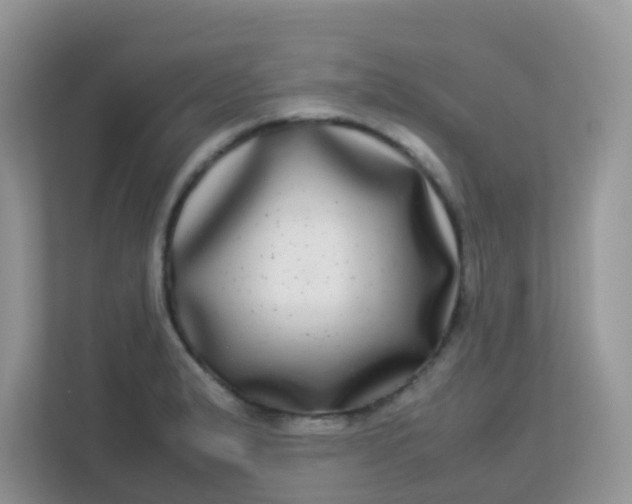 X0000113291183200909281006