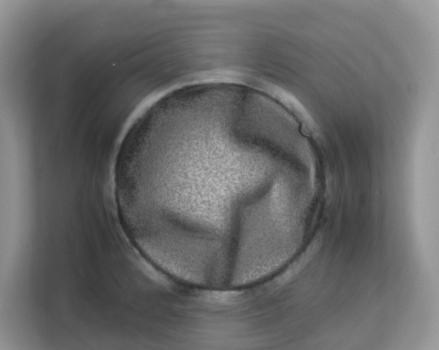 X0000113291184200909281006