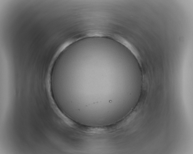 X0000113291187200909281006