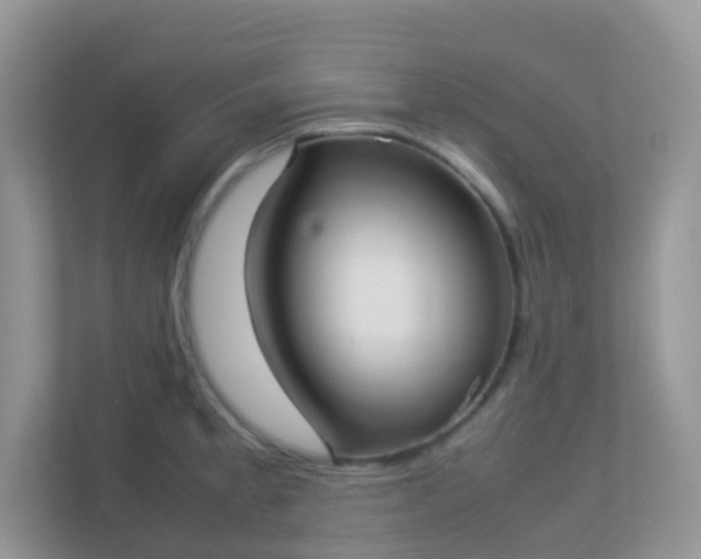 X0000113291189200909281006