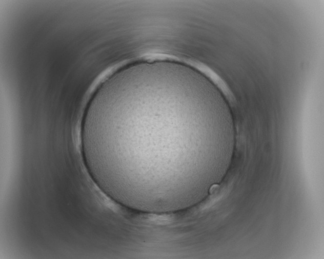 X0000113291191200909281006