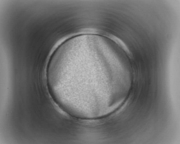 X0000113291192200909281006