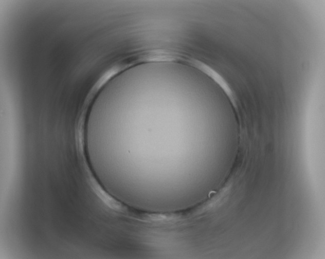 X0000113291195200909281006