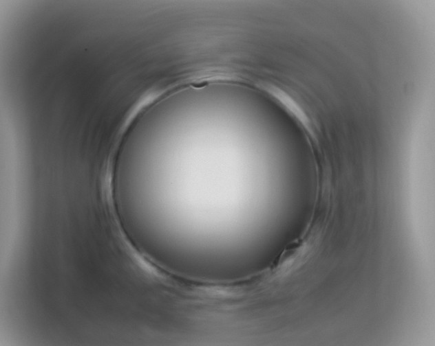 X0000113291197200909281006