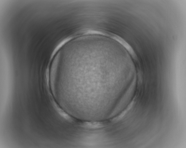 X0000113291198200909281006