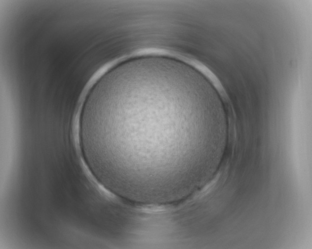 X0000113291199200909281006