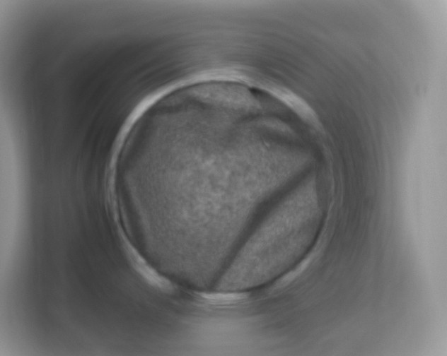 X0000113291200200909281006