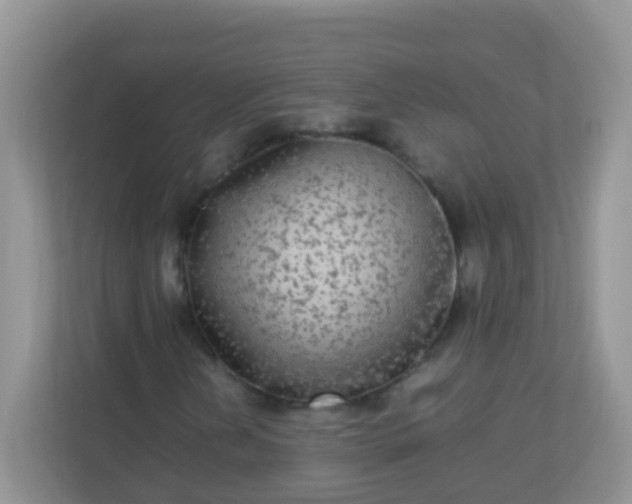 X0000113291202200909281005