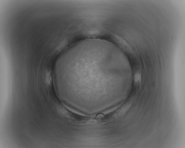 X0000113291204200909281005