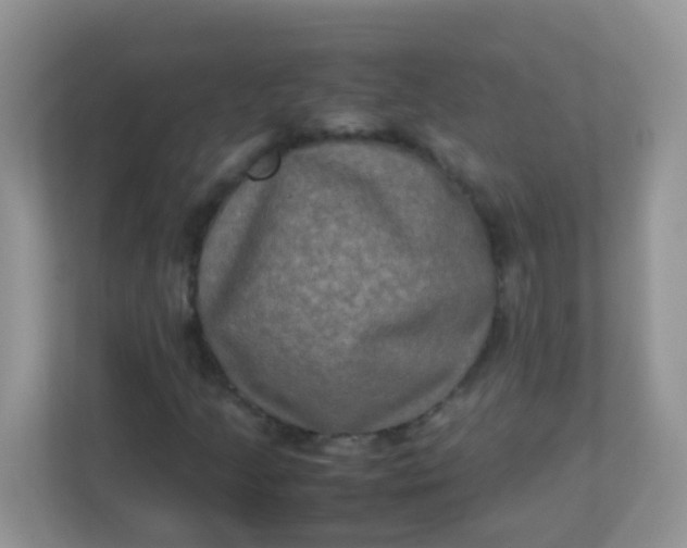 X0000113291205200909281005