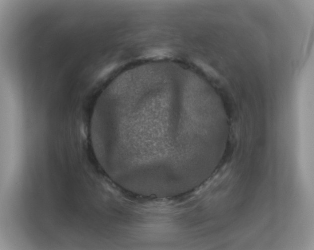 X0000113291206200909281005