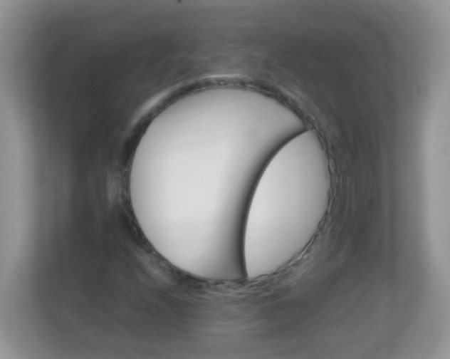 X0000113291208200909281005