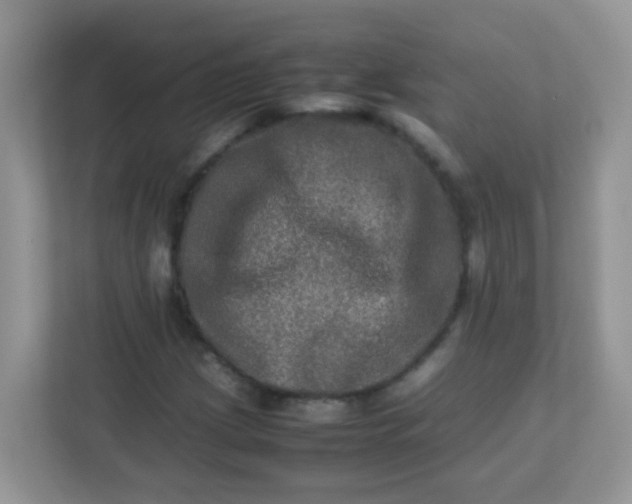 X0000113291209200909281005