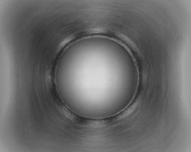 X0000113291210200909281005