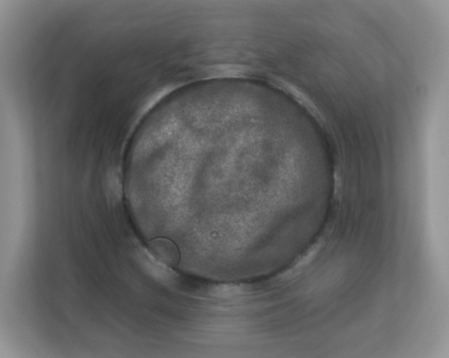 X0000113291212200909281005