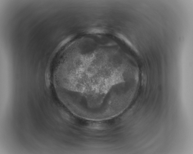 X0000113291213200909281005