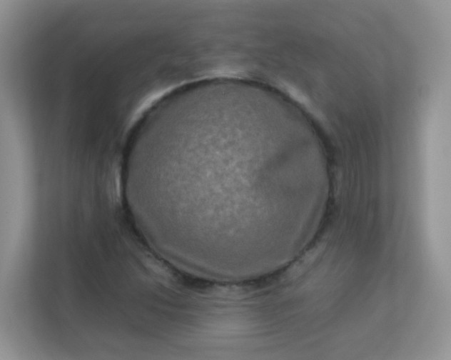 X0000113291214200909281005