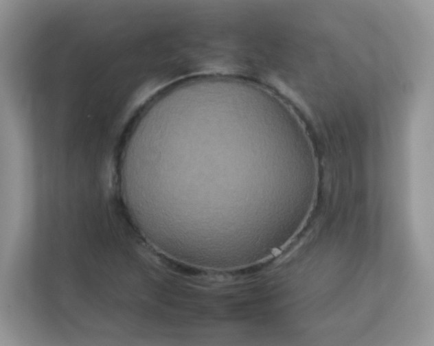 X0000113291215200909281005