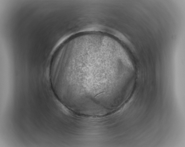 X0000113291216200909281005