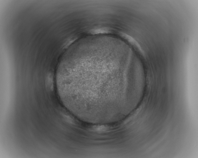 X0000113291217200909281005