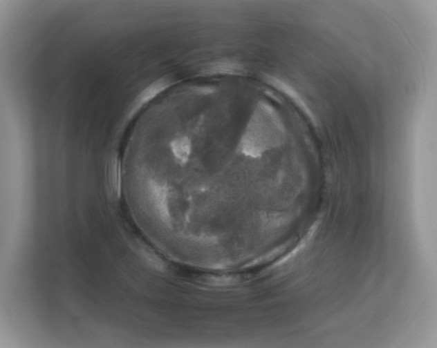 X0000113291219200909281005